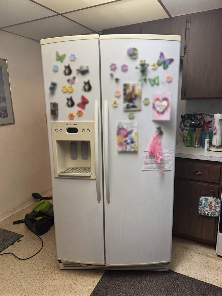 Reviving a 20-Year-Old KitchenAid Refrigerator in Fort Lauderdale