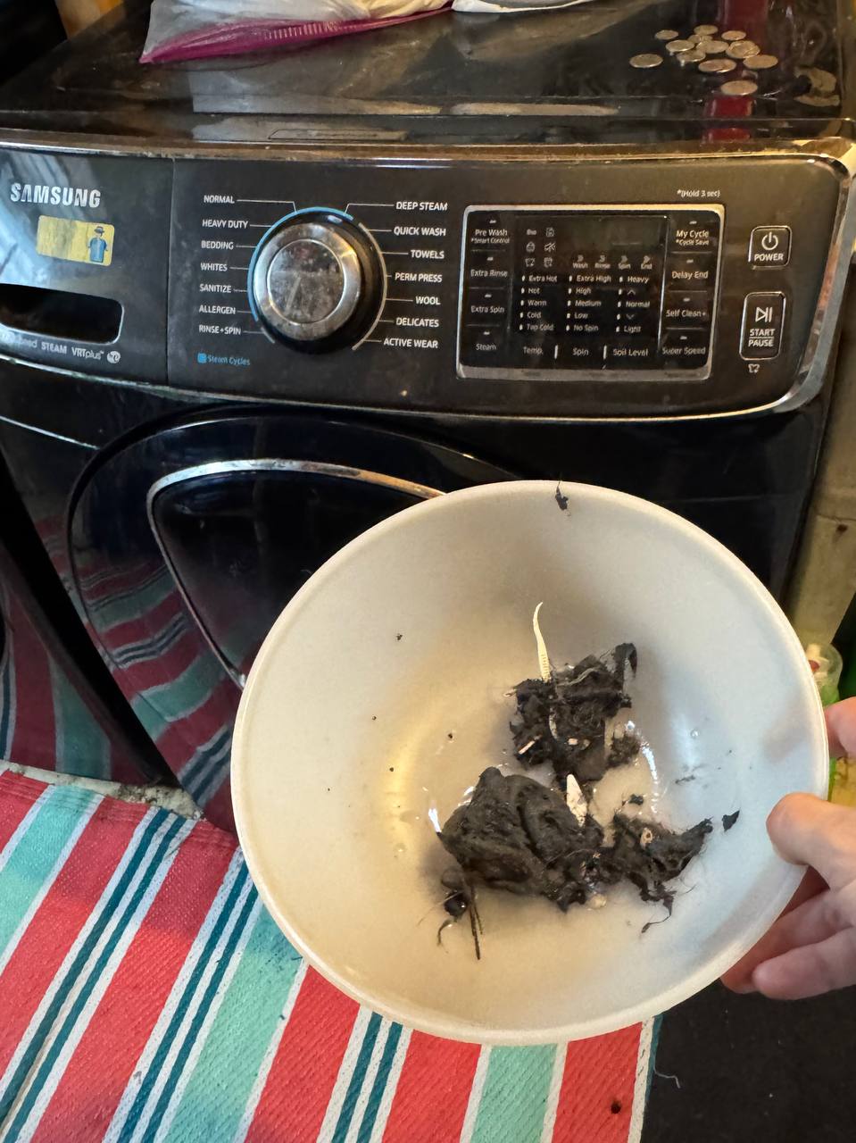 Samsung Washer Not Draining in Dania Beach — After
